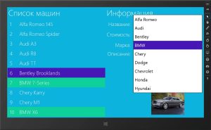 privyazka-dannyih-i-stranitsyi-6