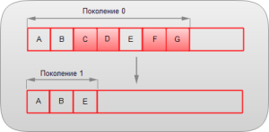 rol-kornevih-elementov-prilozheniya-3