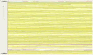 segmentyi-sborshhika-musora-i-virtualnaya-pamyat-2