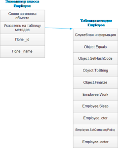 vnutrennee-ustroystvo-ssyilochnyih-tipov-3