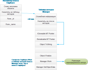 vnutrennee-ustroystvo-ssyilochnyih-tipov-7