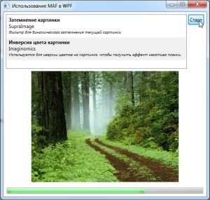 vzaimodeystvie-s-hostom-1